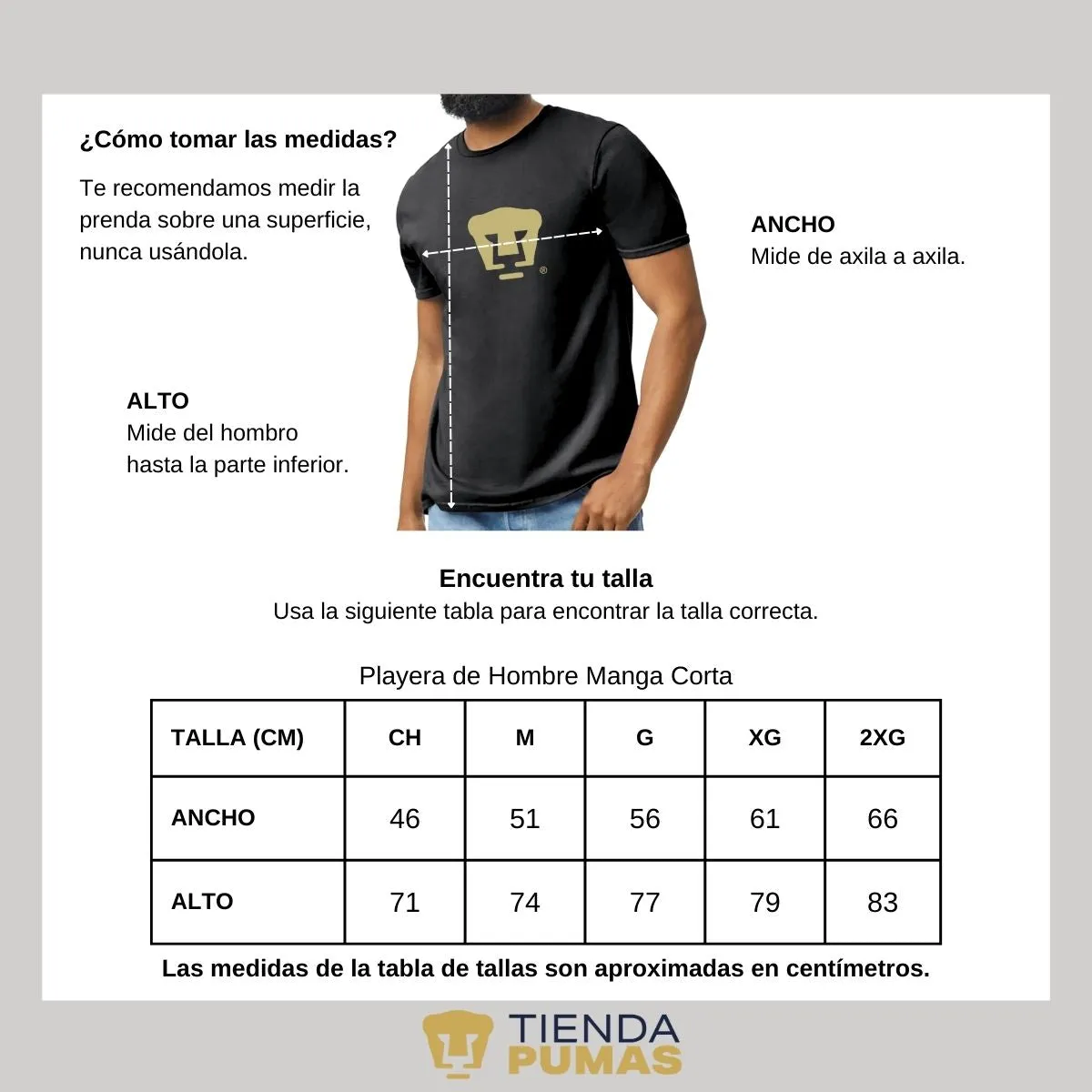 Playera Hombre Pumas UNAM Dorado Logo Vinil